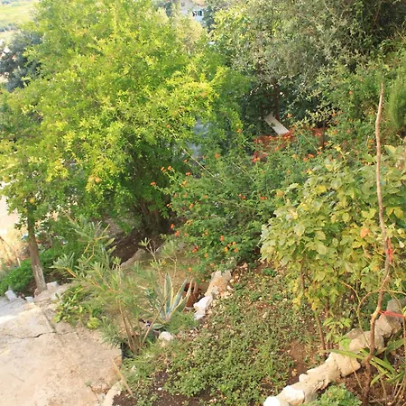 With Parking Space - 8322 Lastovo