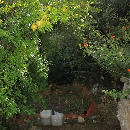 With Parking Space - 8322 Apartamento *